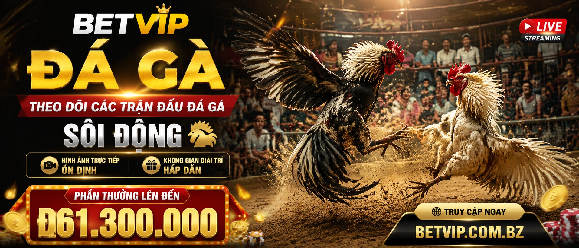 Không gian Đá Gà trực tiếp và danh mục nội dung trên betvip.com.bz